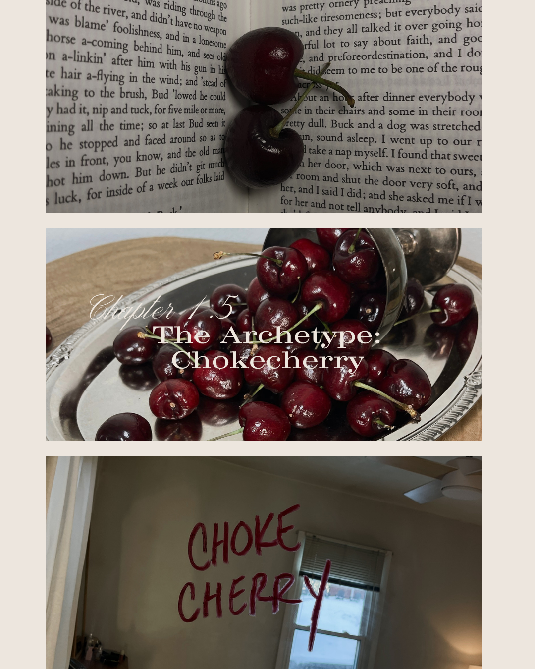 Chapter 1.5 - Chokecherry
